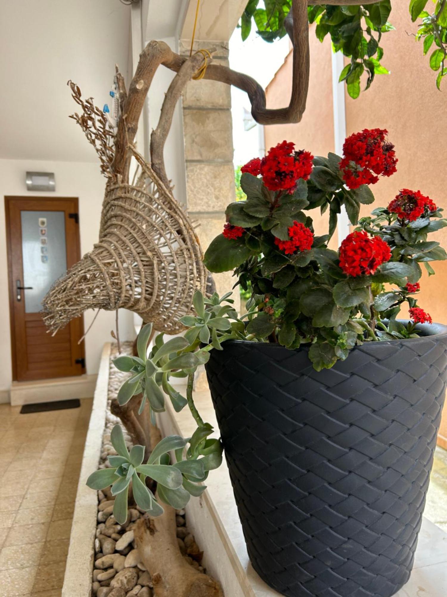 Bolero Guest House Lovište Exterior foto